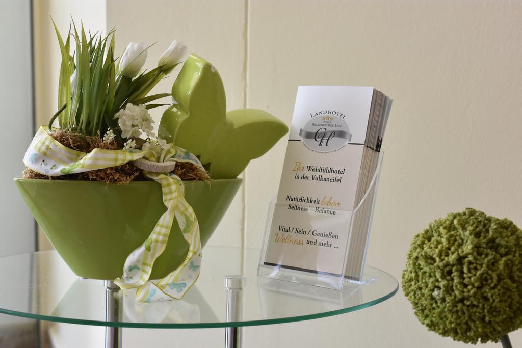 Landhotel Gillenfelder Hof Екстер'єр фото
